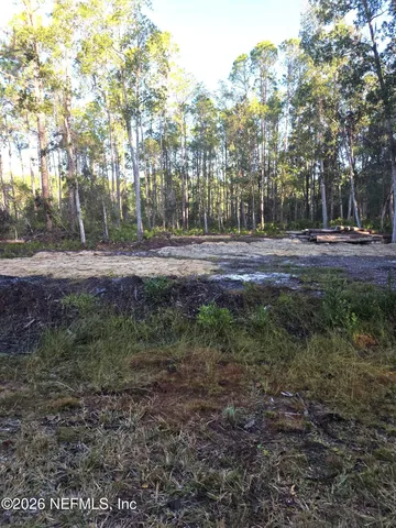 a view of a yard with trees