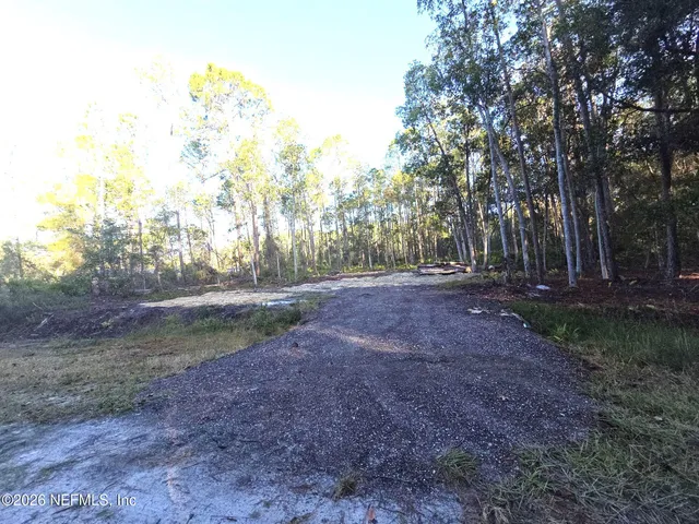 a view of dirt yard with large trees
