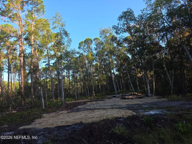 a view of outdoor space with trees