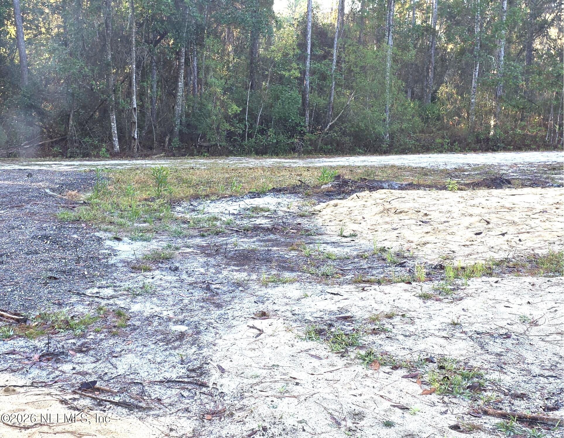 112 Marie Avenue Georgetown, FL 32139 - Photo 6 of 7 1000016319