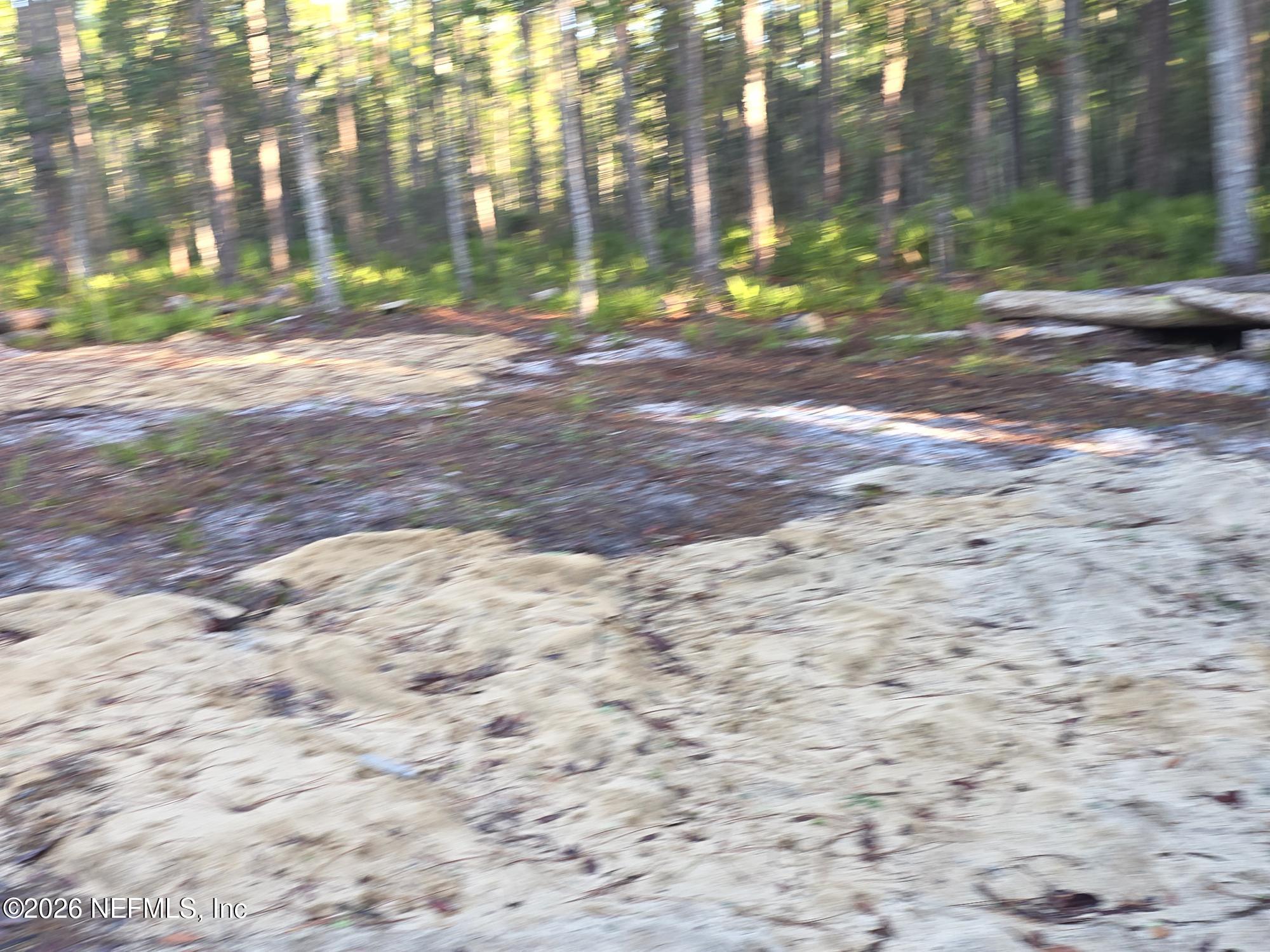 112 Marie Avenue Georgetown, FL 32139 - Photo 7 of 7 1000016317