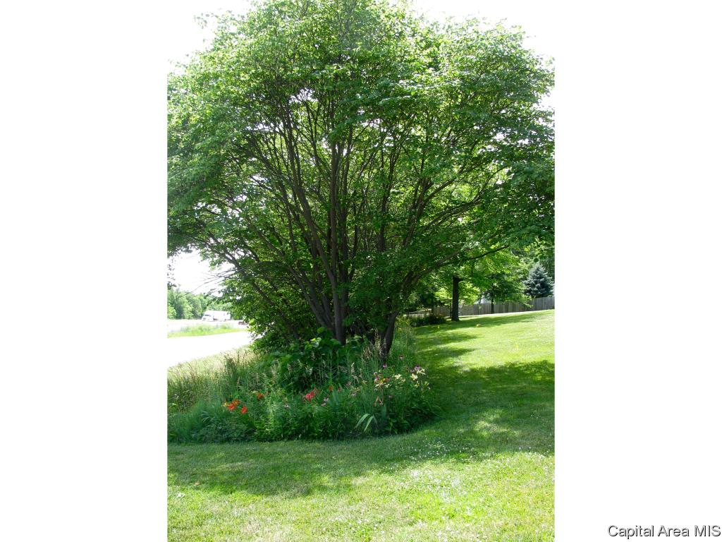 8025 West Outer Road Sherman, IL 62684 - Photo 26 of 30 Gallery Image 26