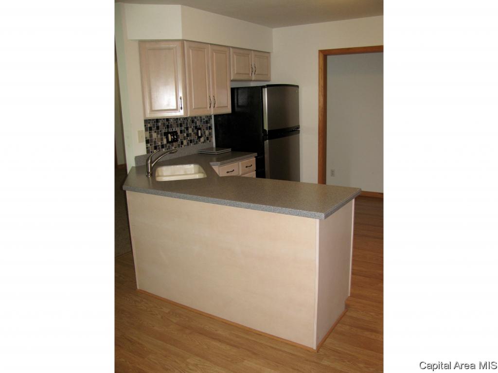 8025 West Outer Road Sherman, IL 62684 - Photo 4 of 30 Gallery Image 4