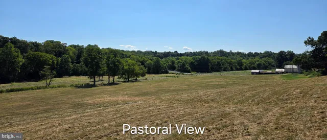 a view of a field with a trees in the background
