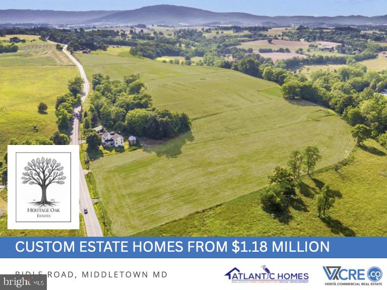 3150 Bidle Road Middletown, MD 21769 - Photo 10 of 27 a view of ocean view