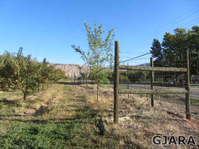 587 36 Road Palisade, CO 81526 - Photo 4 of 5 Gallery Image 4