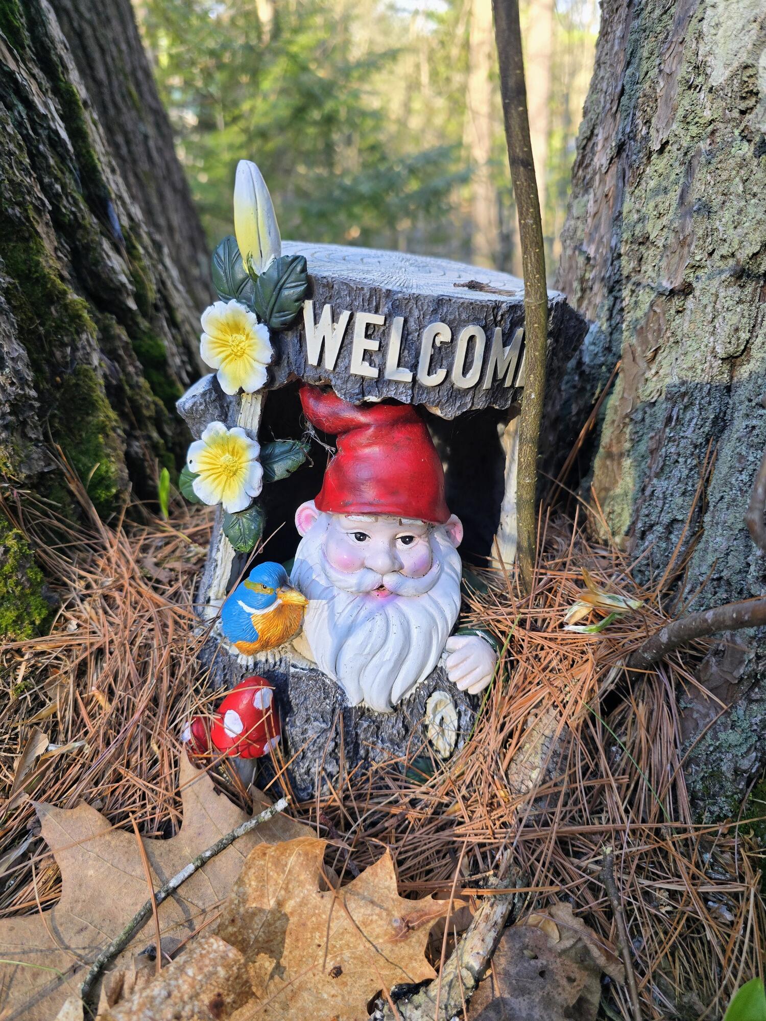 40 Knob Hill Road Naples, ME 04055 - Photo 6 of 29 1000013390
