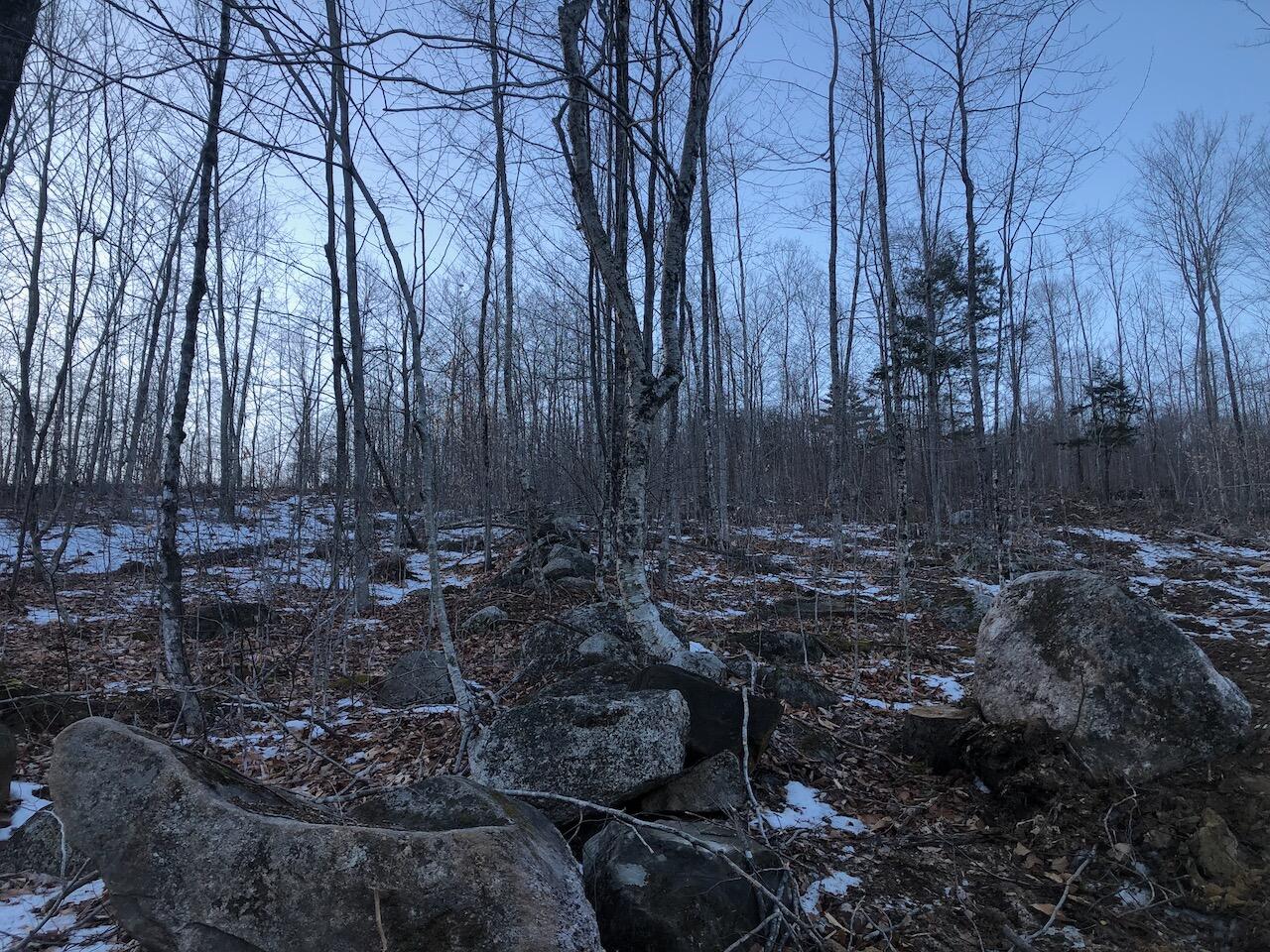 L25 Canton Mountain Road Jay, ME 04239 - Photo 24 of 25 IMG_8018