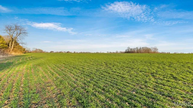 $929,250 | 0 Old Setter Road, O'Fallon, MO 63366