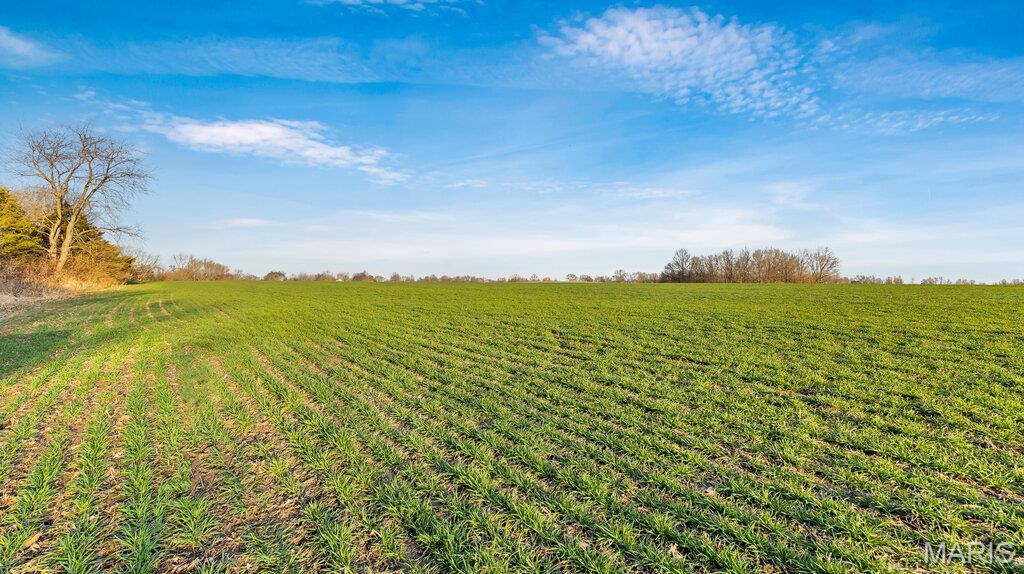 0 Old Setter Road O'Fallon, MO 63366 - Photo 11 of 14