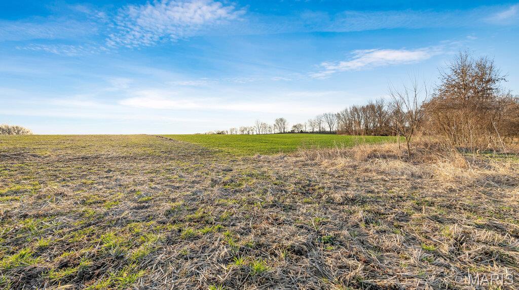 0 Old Setter Road O'Fallon, MO 63366 - Photo 5 of 14