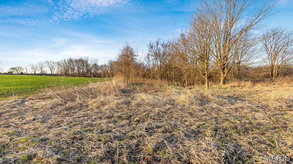 0 Old Setter Road O'Fallon, MO 63366 - Photo 6 of 14