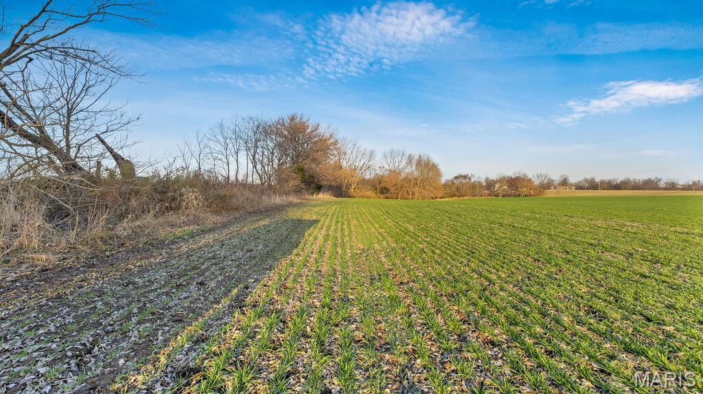 0 Old Setter Road O'Fallon, MO 63366 - Photo 8 of 14