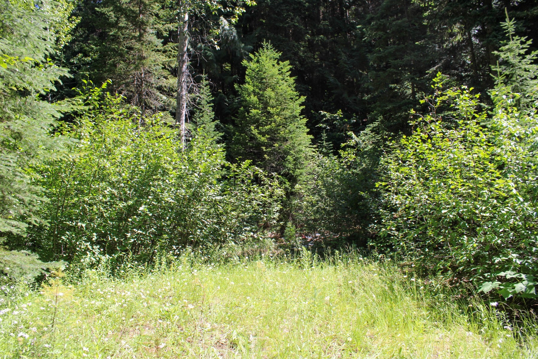 1 Pardee Flat Road Superior, MT 59872 - Photo 28 of 35 Gallery Image 28