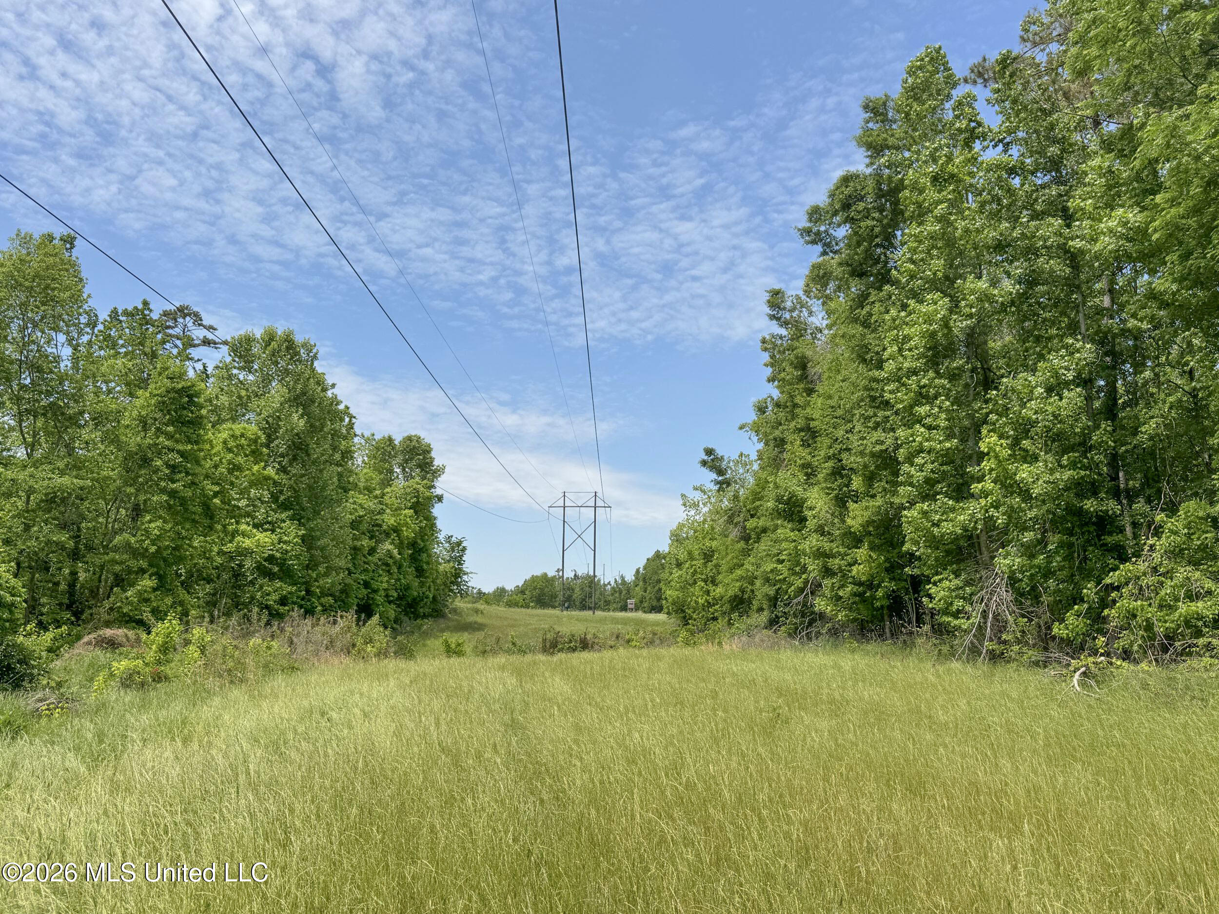 Chinqupin Road Lexington, MS 39095 - Photo 187 of 210 8chqpn56