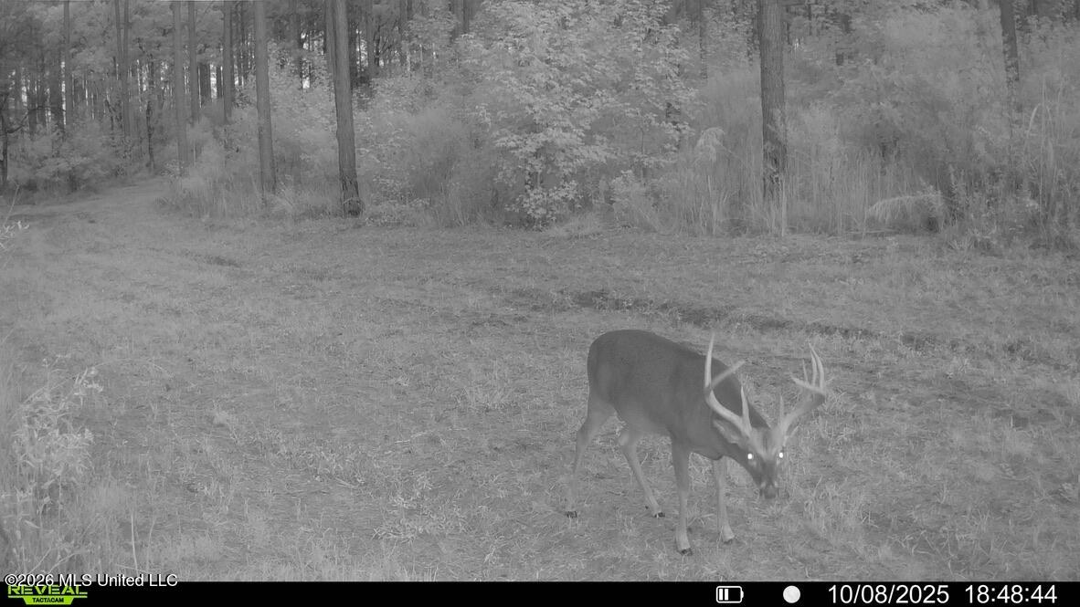 425 Rose Hill Road Bentonia, MS 39040 - Photo 130 of 150 788AE0E2-FED0-4A0C-8C43-F8E1C27F9FE2_1_1