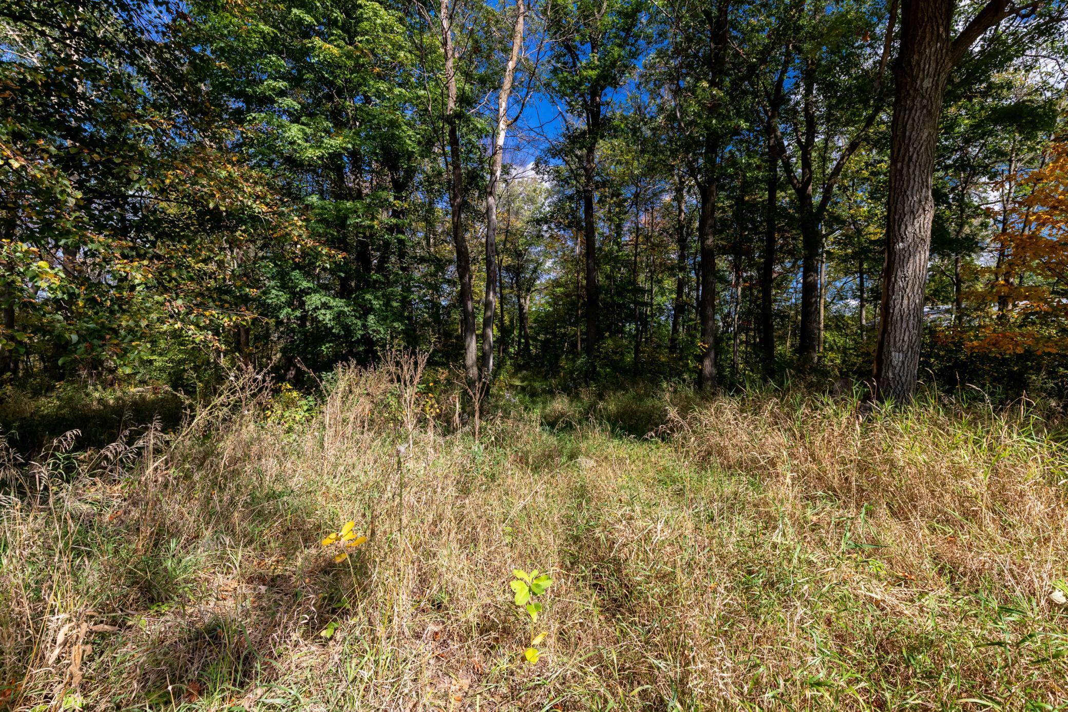 40201 231st Avenue Browerville, MN 56438 - Photo 29 of 48