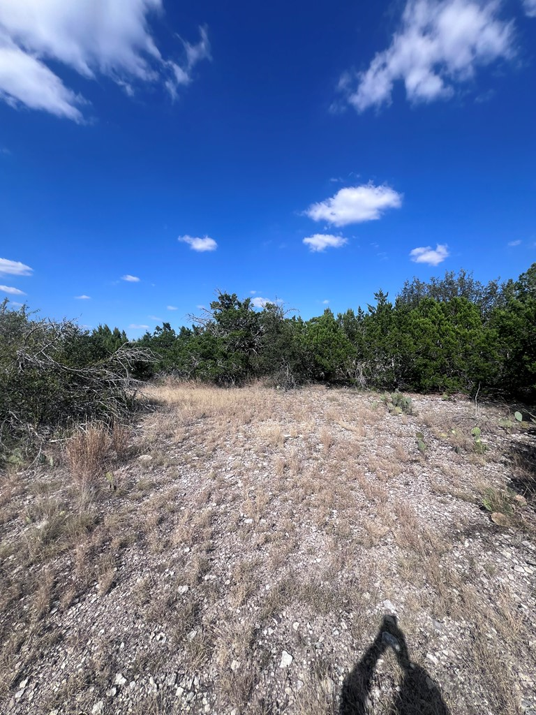 0 Fairview Road Rocksprings, TX 78880 - Photo 7 of 26