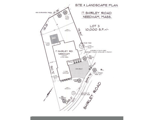 17 Shirley Road Needham, MA 02494 - Photo 3 of 6