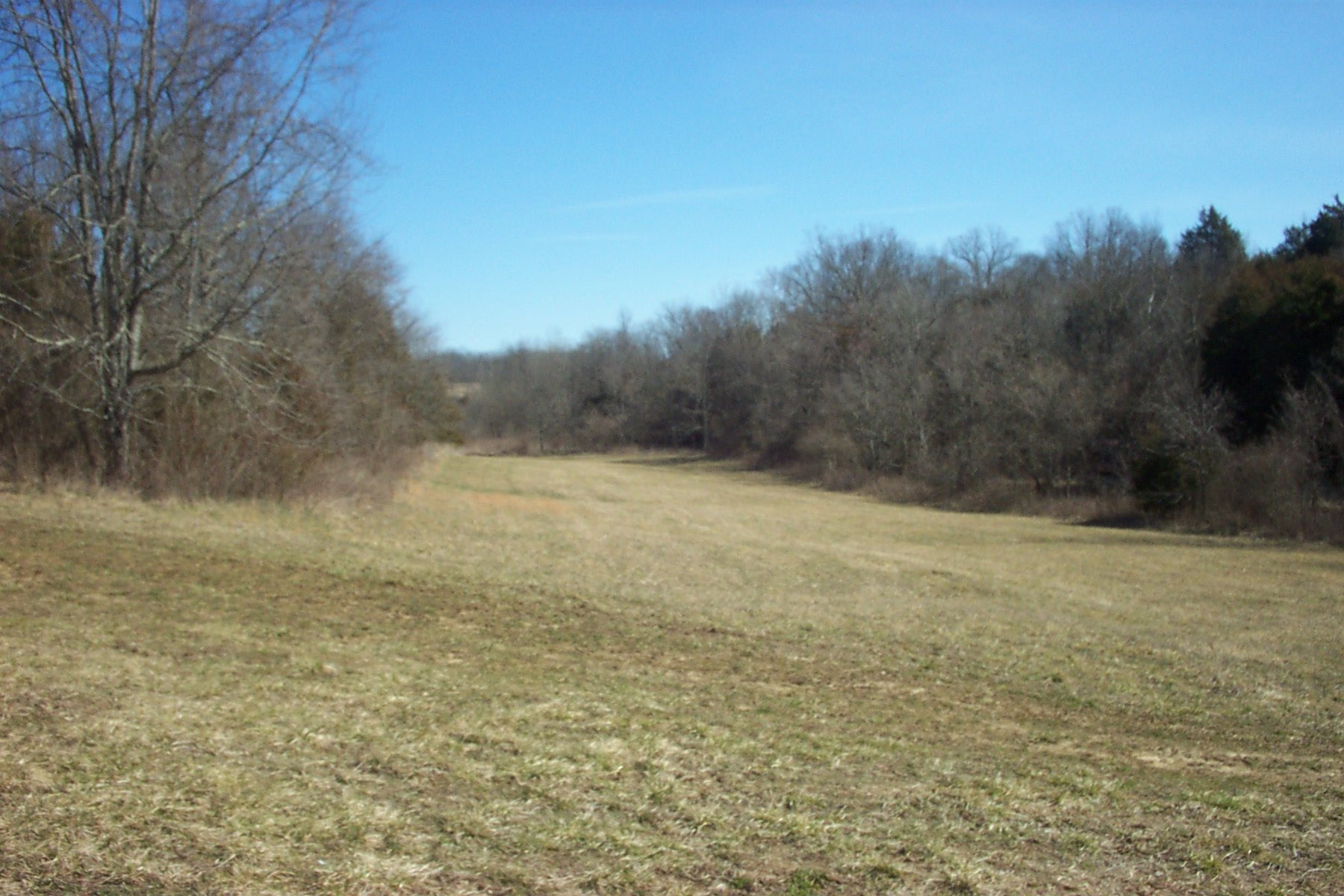 39-acres Leaning Oak Road Corinth, KY 41010 - Photo 6 of 7 Gallery Image 6