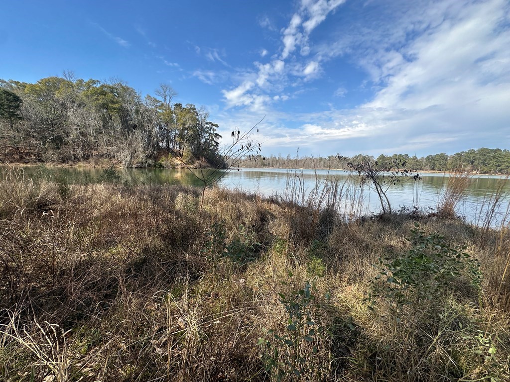 2422 County Road 97 Abbeville, AL 36310 - Photo 42 of 50
