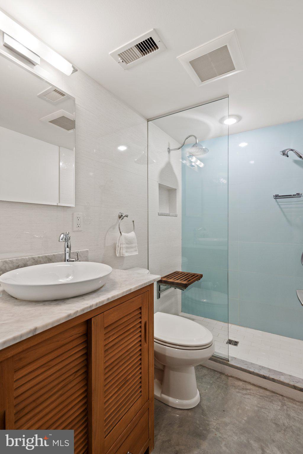 260 15th Street Southeast Washington, DC 20003 - Photo 32 of 41 Gorgeous LL spa bath