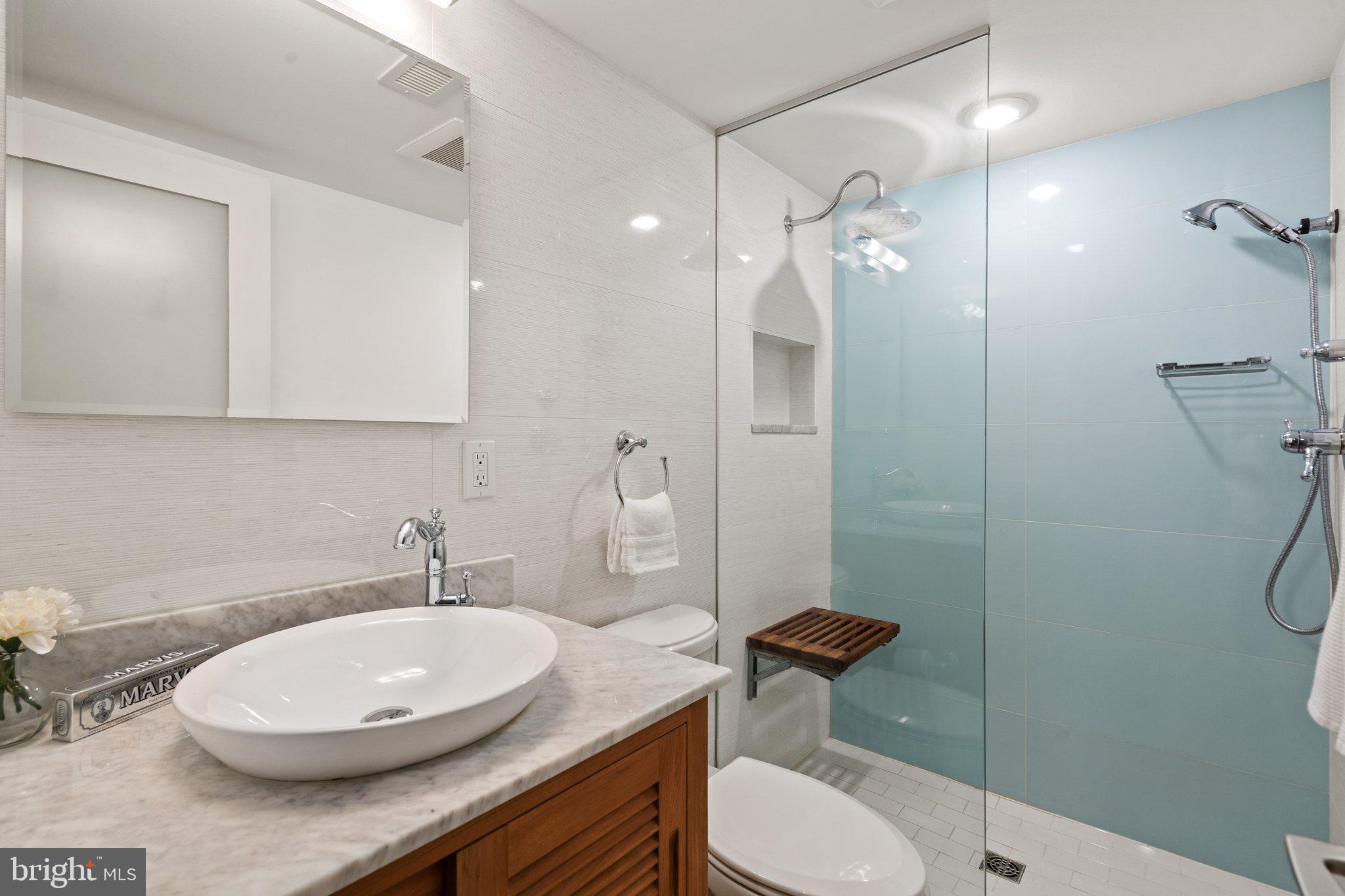 260 15th Street Southeast Washington, DC 20003 - Photo 33 of 41 Spa bath with teak vanity and spa seat