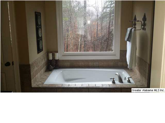 180 Middle Ridge Trail Springville, AL 35146 - Photo 23 of 26