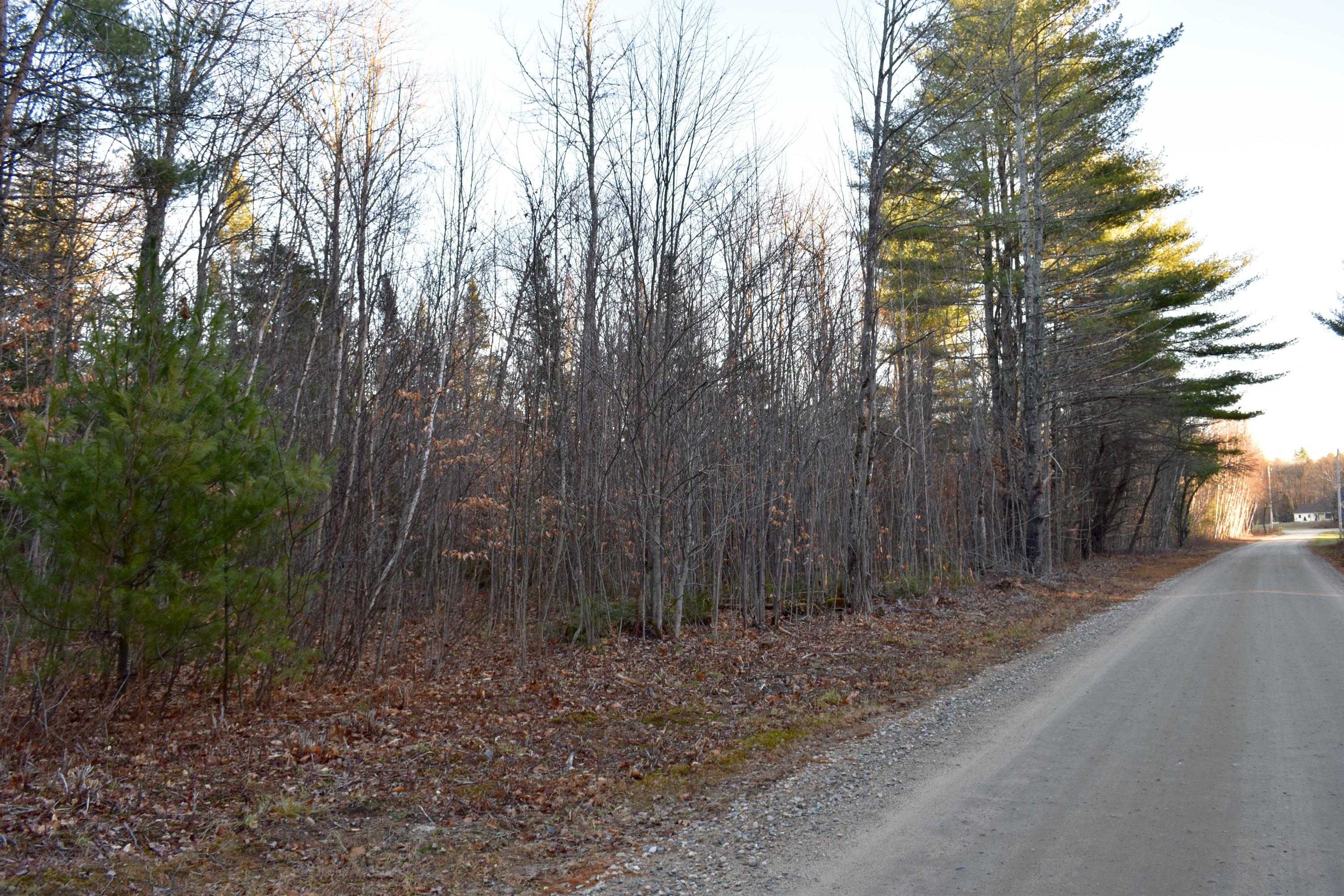 0 Daisy Bryant Road Bethel, ME 04217 - Photo 2 of 6 DSC_1559