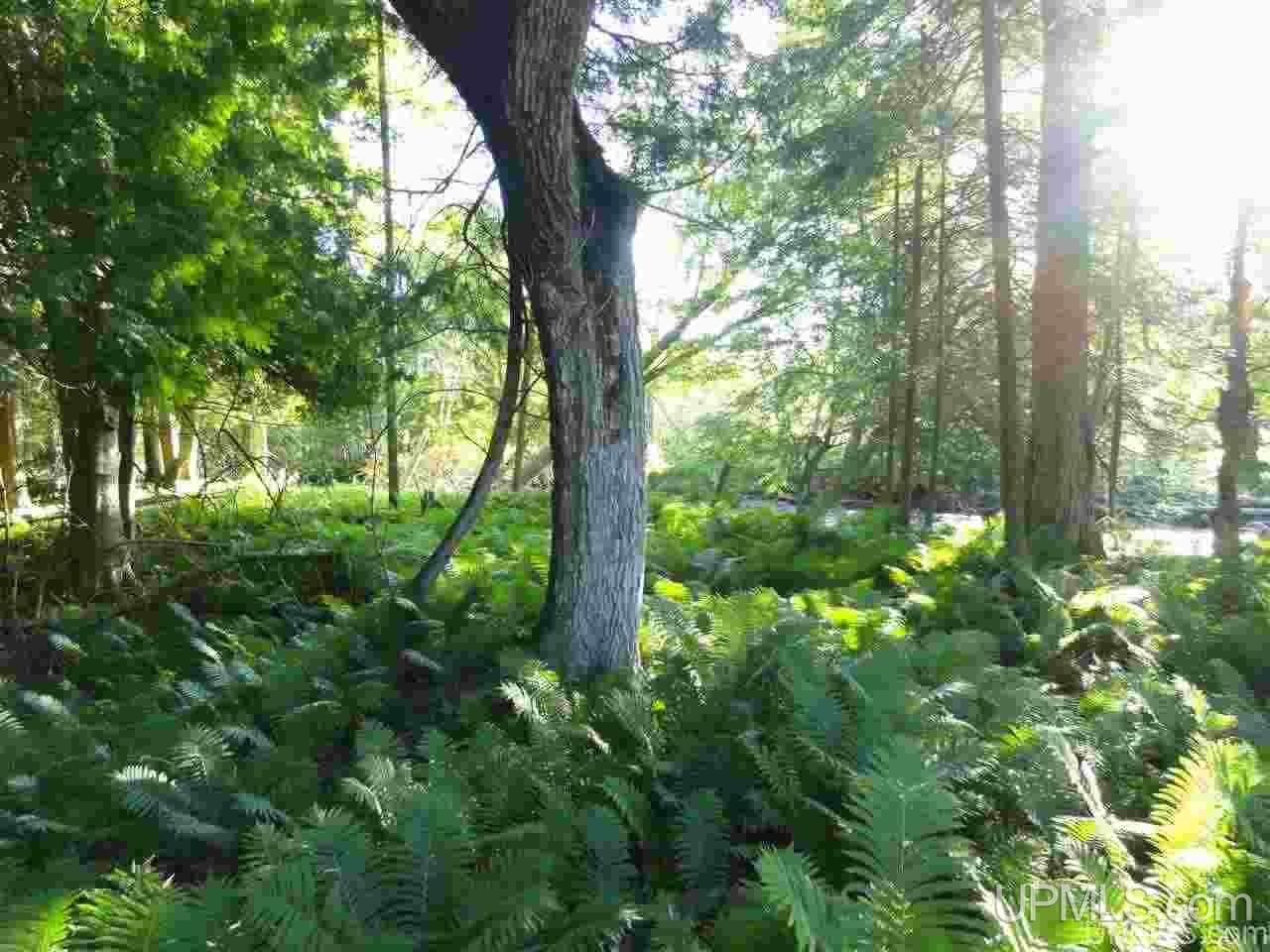 11918 T Road Rapid River, MI 49878 - Photo 28 of 49 Gallery Image 28