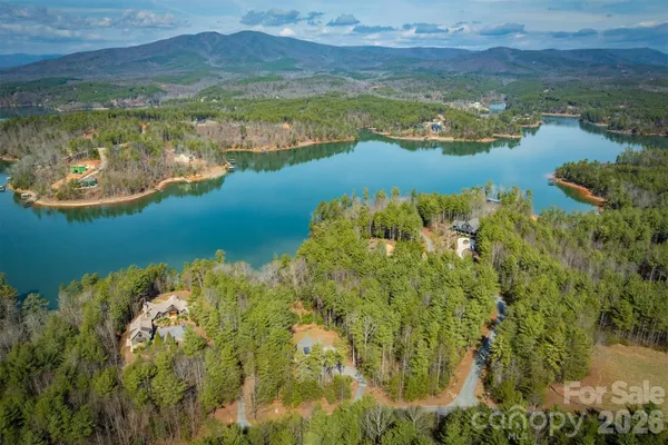 a view of a lake with a mountain in the background