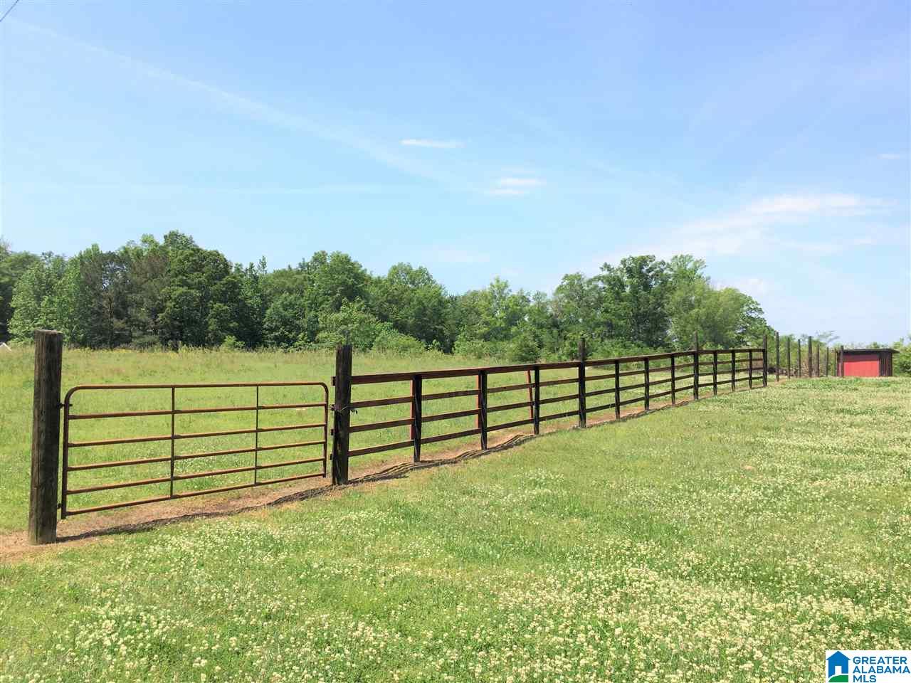 1691 Mountain Springs Road Ashville, AL 35953 - Photo 10 of 50