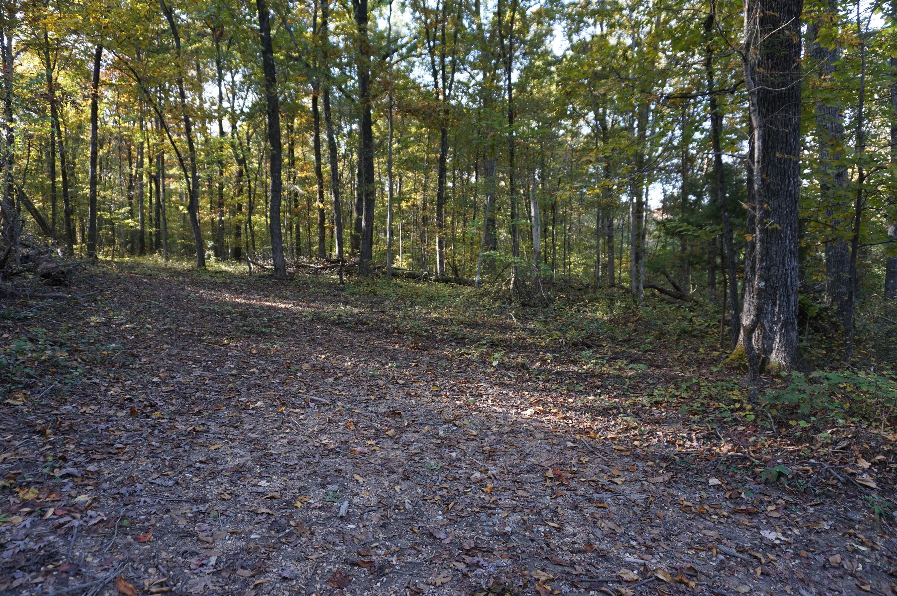 7634 Gamble Road Georgetown, TN 37336 - Photo 1 of 6 186520F0-874F-4435-BCD9-E13BA3B87043