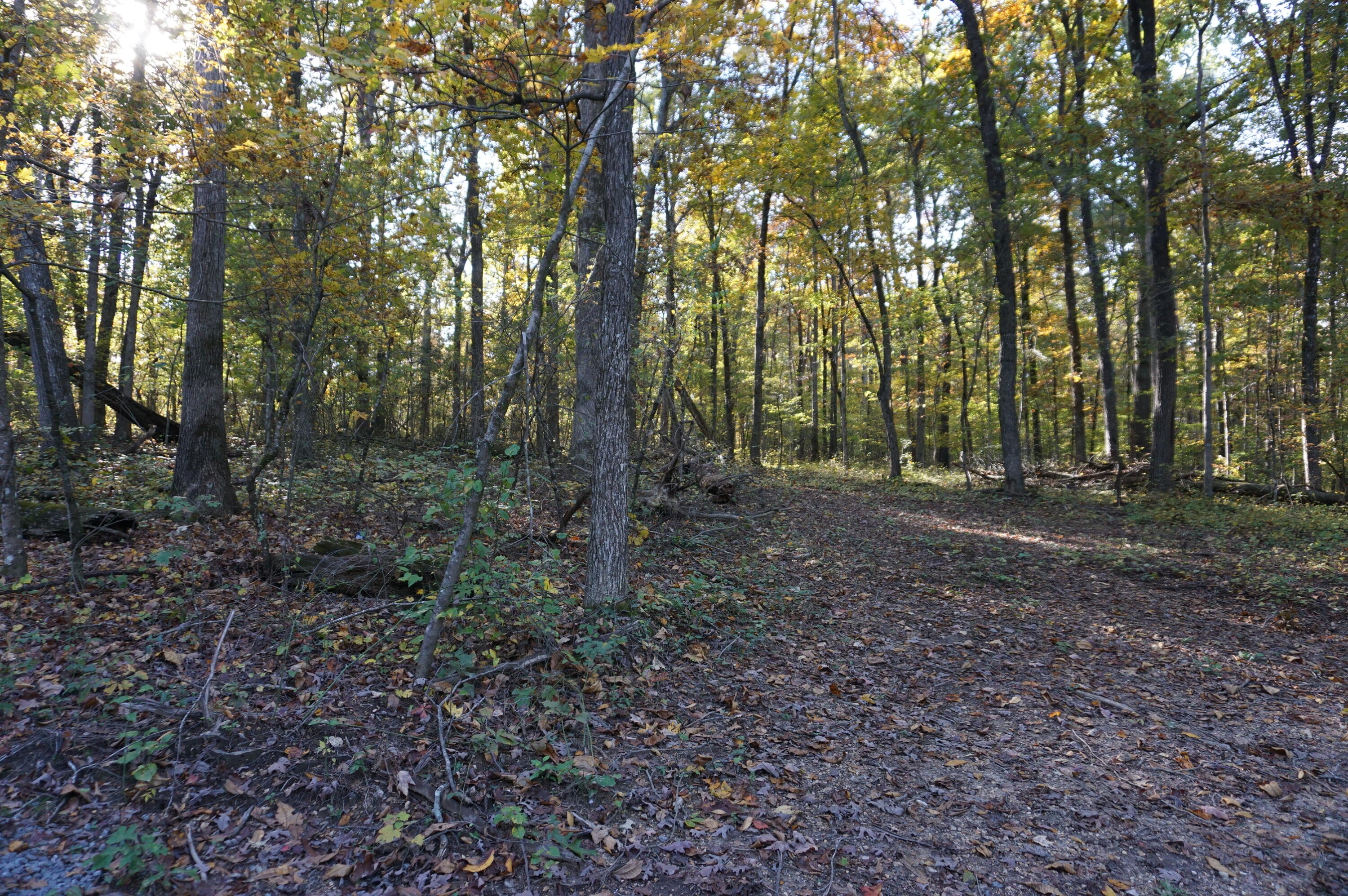 7634 Gamble Road Georgetown, TN 37336 - Photo 2 of 6 F9459C93-D371-421E-B79D-EF4D074E4597