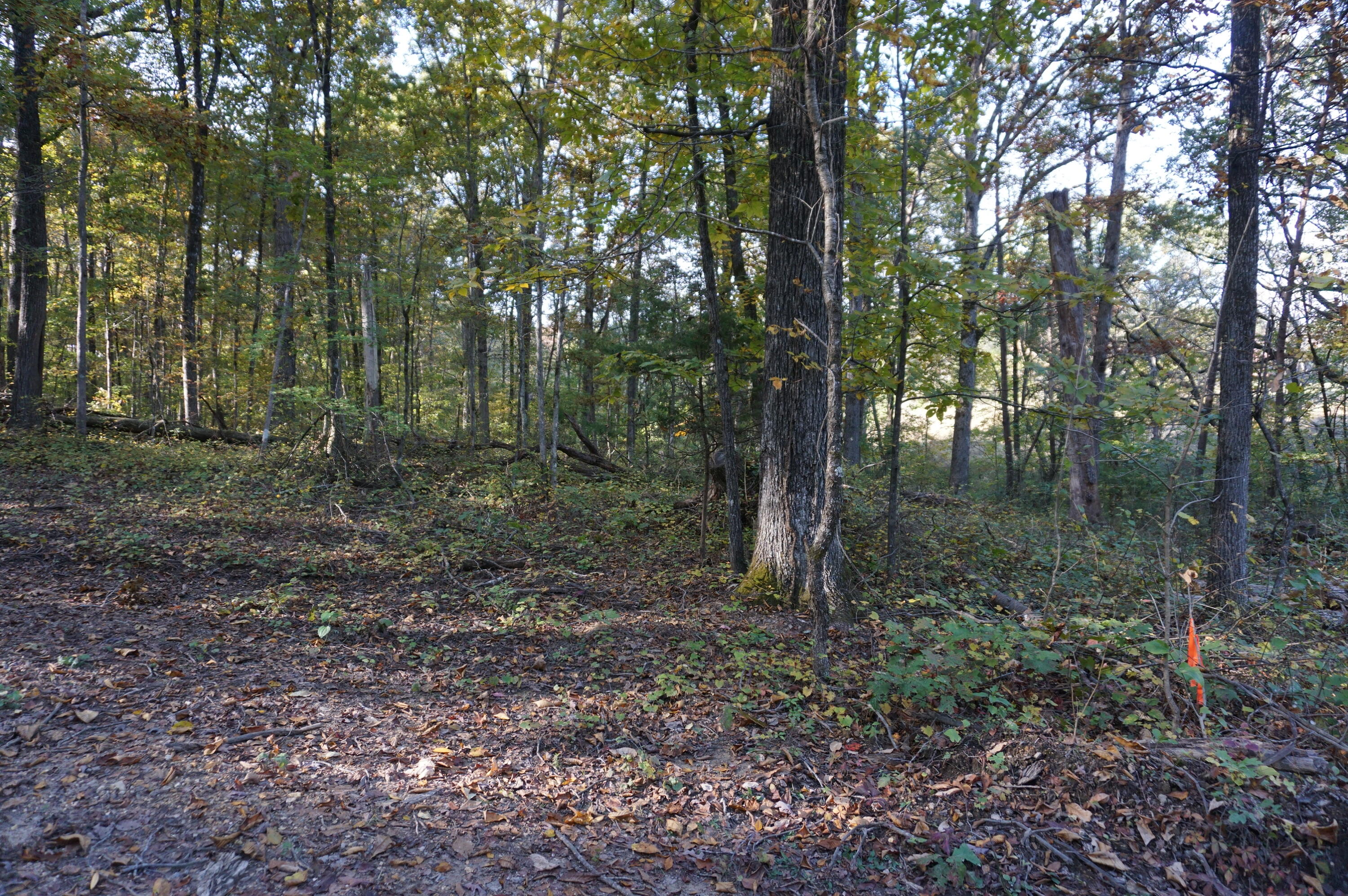 7634 Gamble Road Georgetown, TN 37336 - Photo 3 of 6 A74B734E-3BD7-4704-B841-0660204CA508