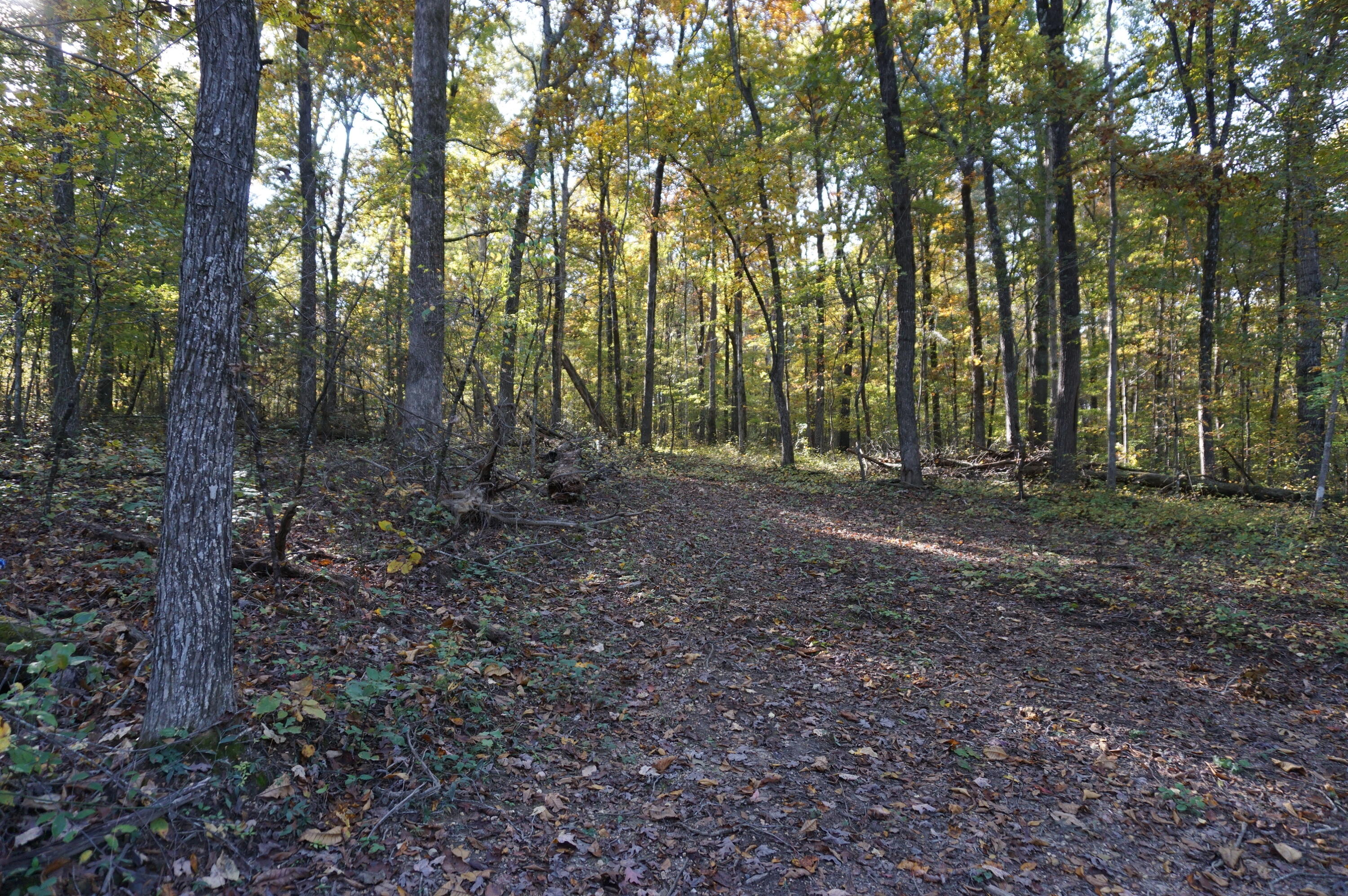 7634 Gamble Road Georgetown, TN 37336 - Photo 4 of 6 461D882B-92E4-48C9-8083-DADF25CF19CE
