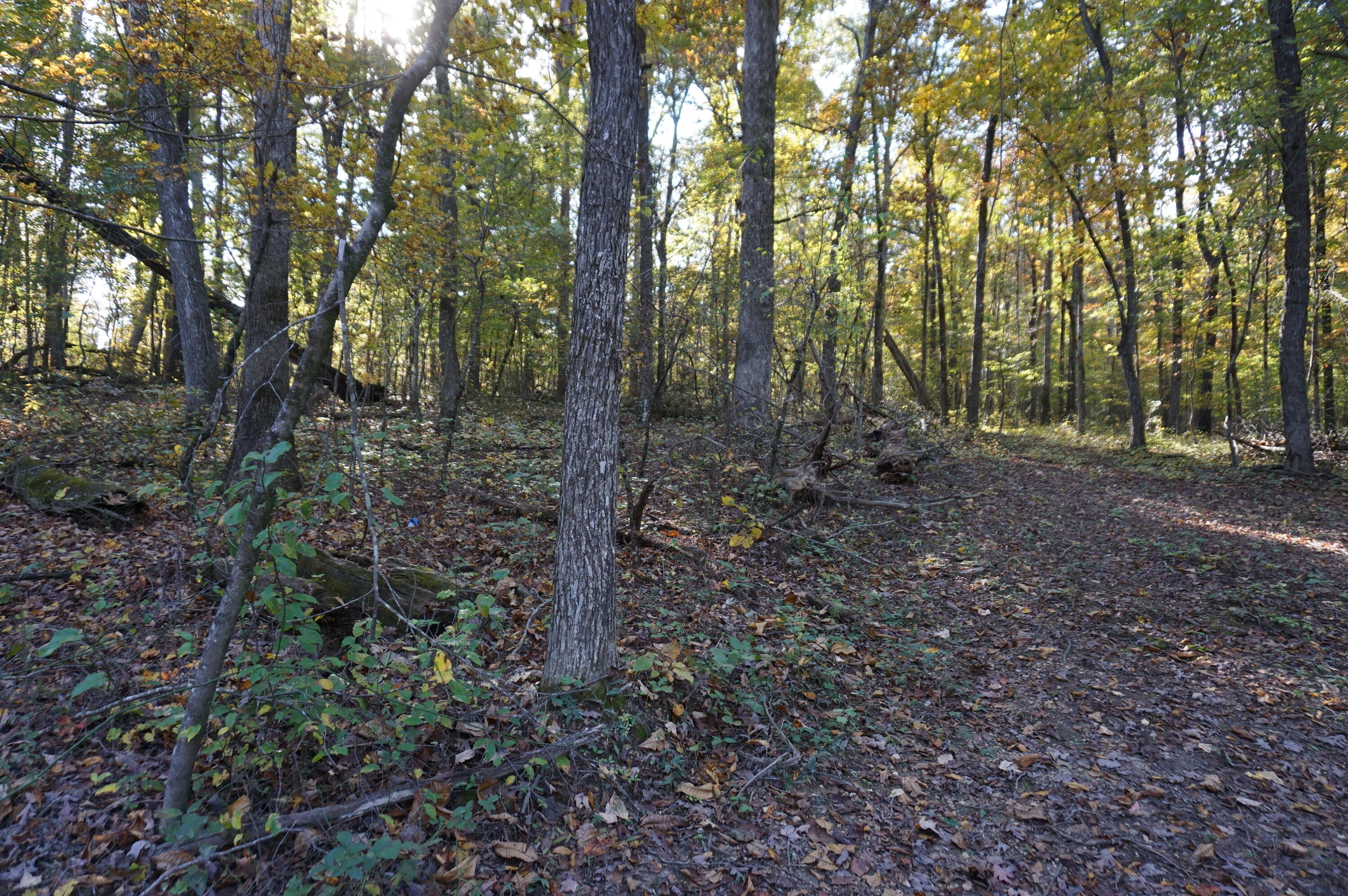 7634 Gamble Road Georgetown, TN 37336 - Photo 5 of 6 C66E63E9-FBA9-4A57-8A4F-9AF55BB61E86