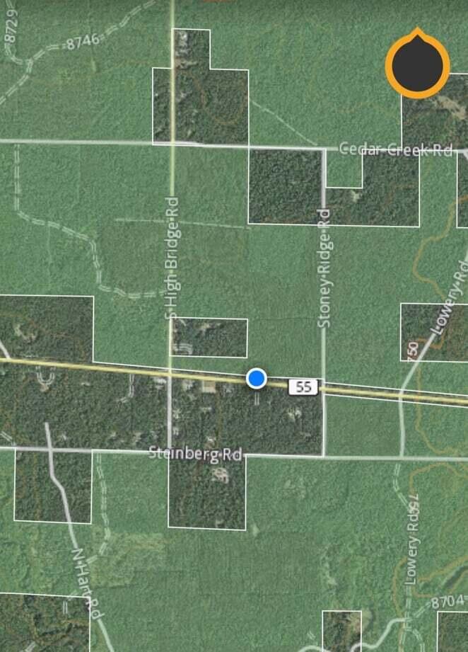 10-ac Steinberg Road Wellston, MI 49689 - Photo 3 of 8 10 wooded acres on Steinberg Rd