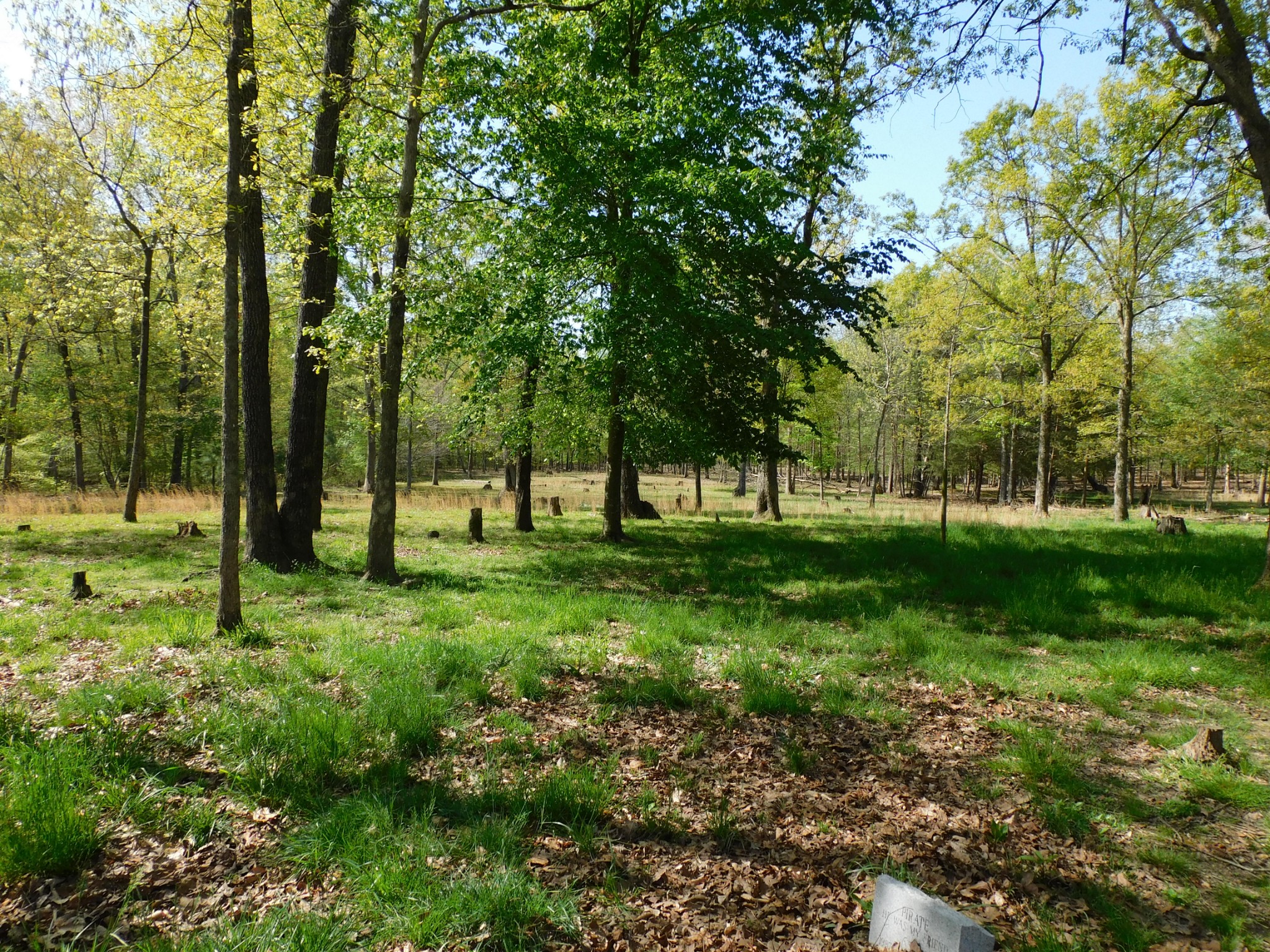 2901 Rutledge Falls Road Tullahoma, TN 37388 - Photo 13 of 17 Gallery Image 13