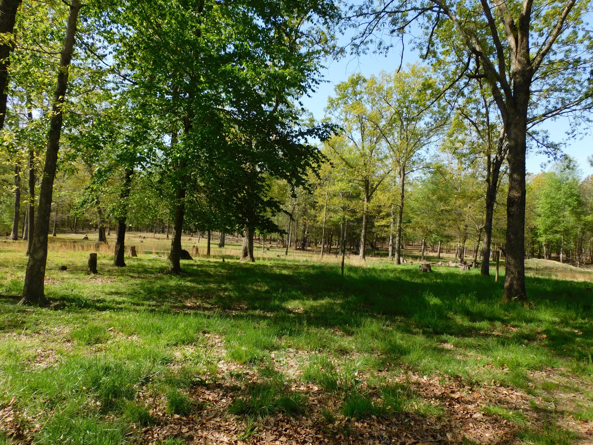 2901 Rutledge Falls Road Tullahoma, TN 37388 - Photo 14 of 17 Gallery Image 14