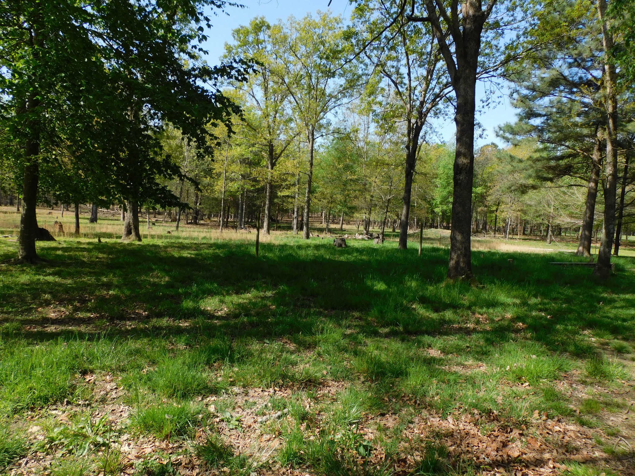 2901 Rutledge Falls Road Tullahoma, TN 37388 - Photo 17 of 17 Gallery Image 17