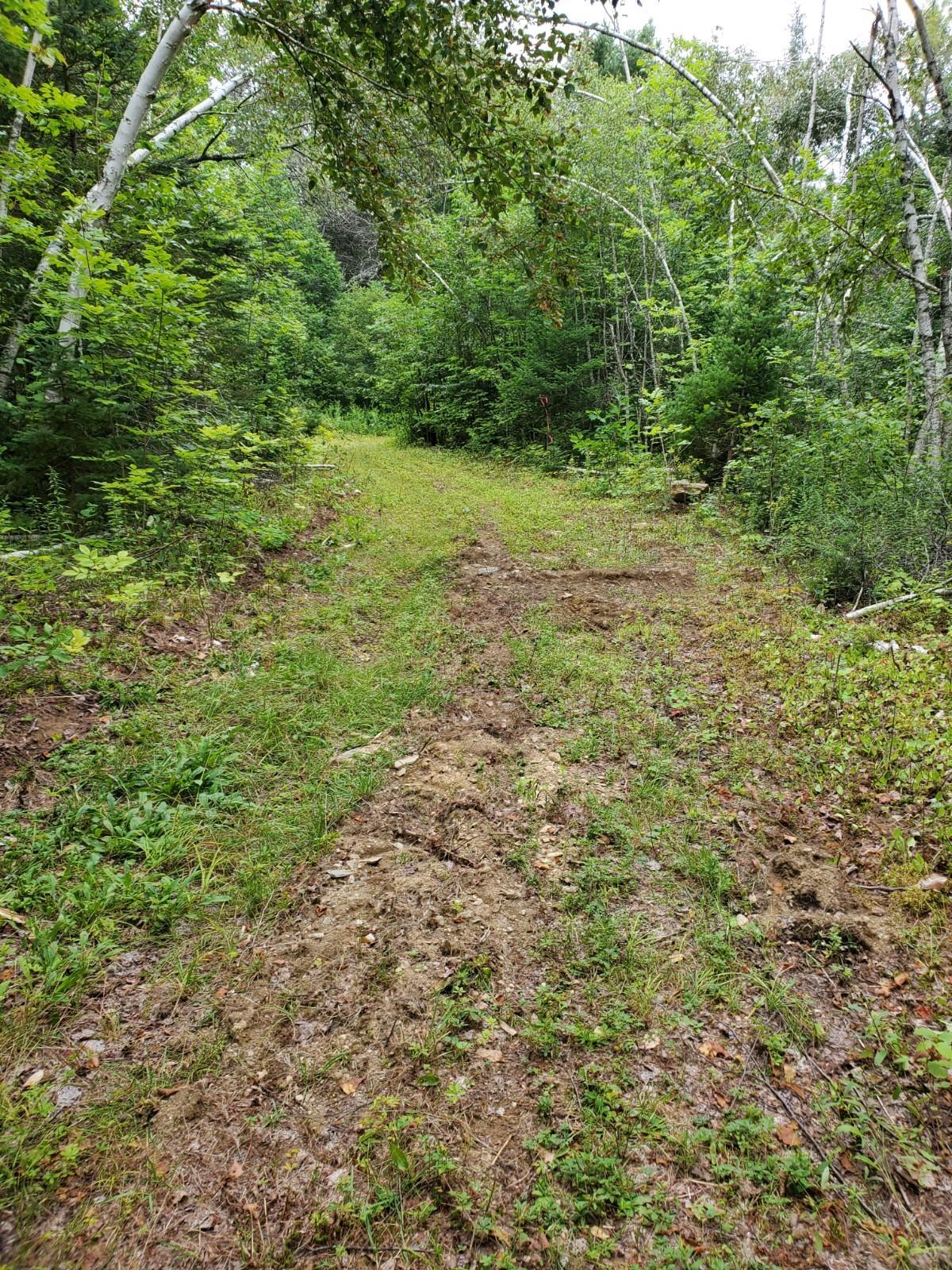 Lot 6 West Off Clubhouse Road Levant, ME 04456 - Photo 9 of 10 20210809_133436