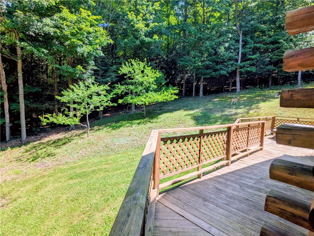 351 Cahilly Road Ulysses, PA 16948 - Photo 35 of 50