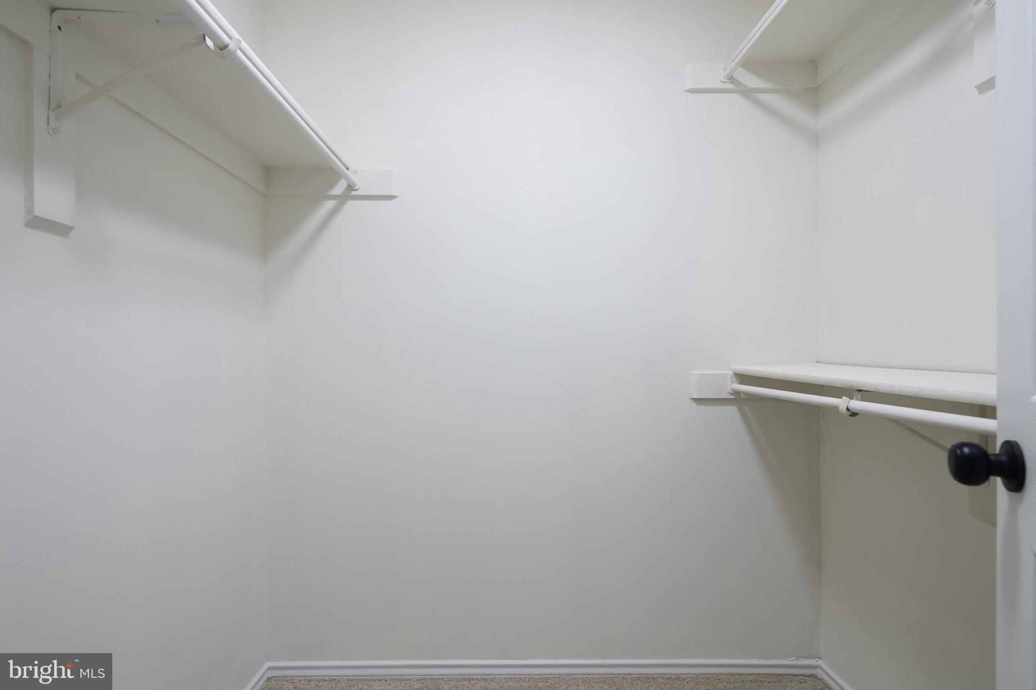 21009 Timber Ridge Terrace, Unit 203 Ashburn, VA 20147 - Photo 38 of 38 Primary Walk-in closet