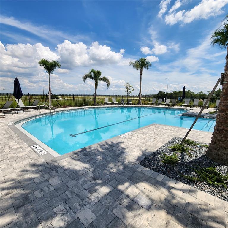 4232 Sadler Road Apopka, FL 32712 - Photo 26 of 31 a view of a swimming pool with a yard