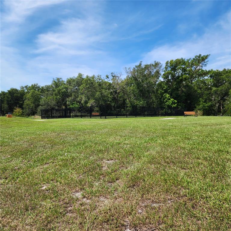 4232 Sadler Road Apopka, FL 32712 - Photo 31 of 31 a view of a field with a tree in the background