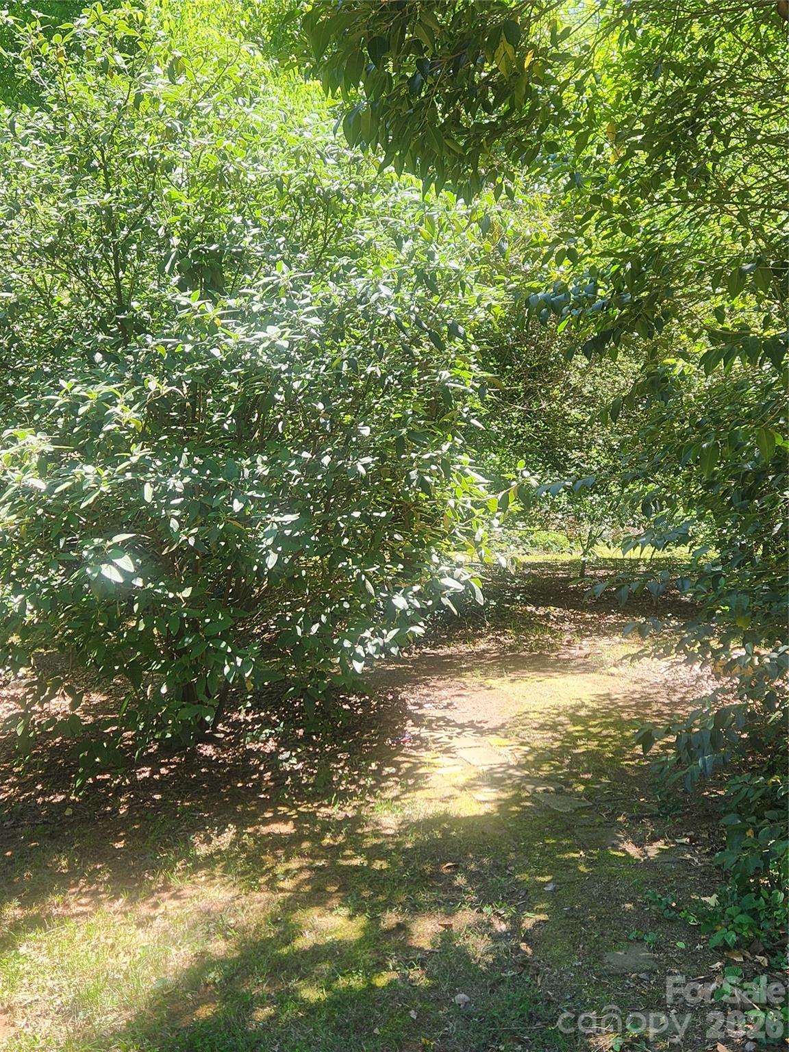 5510 Allen Road East Charlotte, NC 28269 - Photo 24 of 27