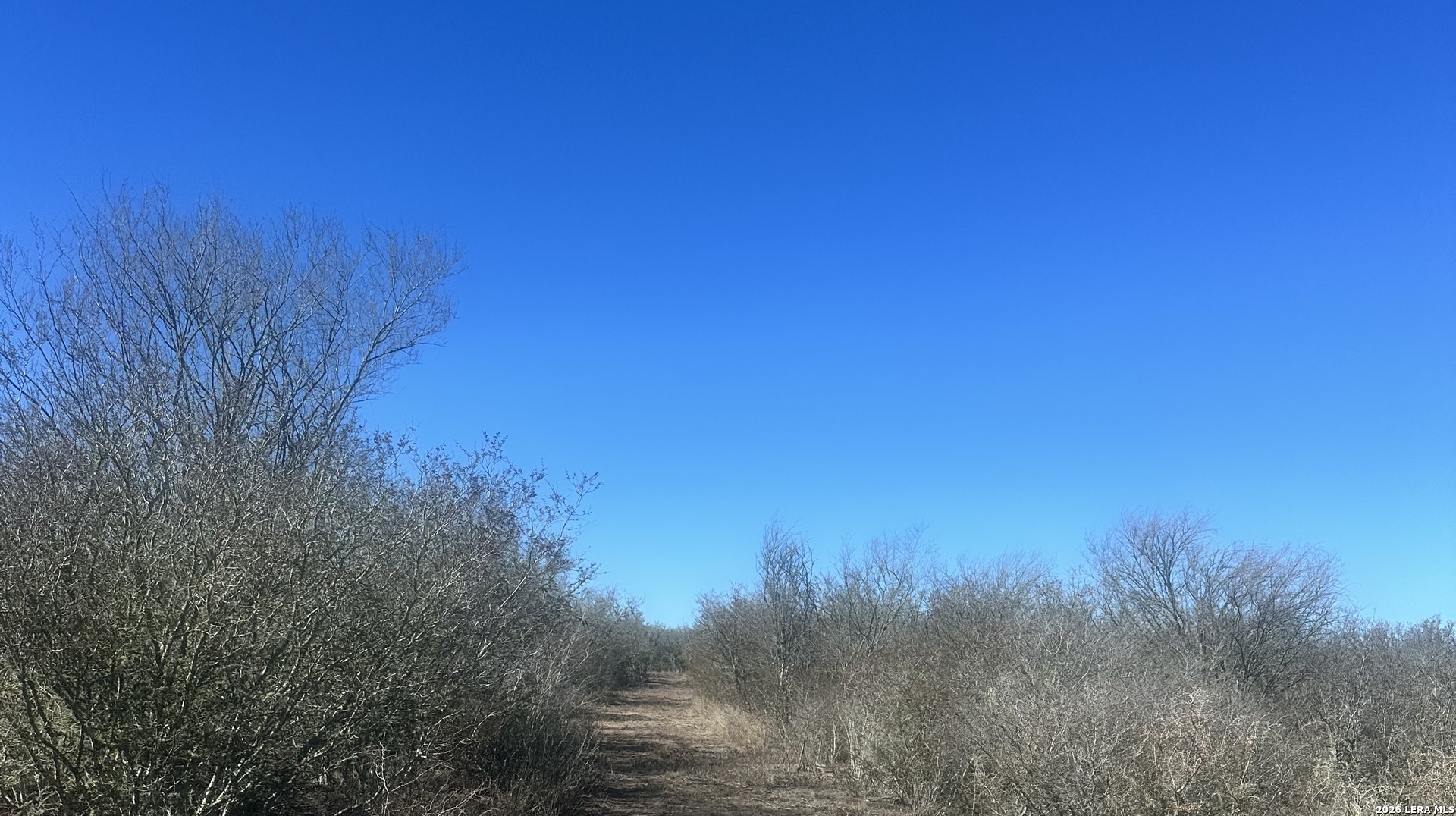 0 Raccoon Drive George West, TX 78022 - Photo 3 of 4 a view of a field