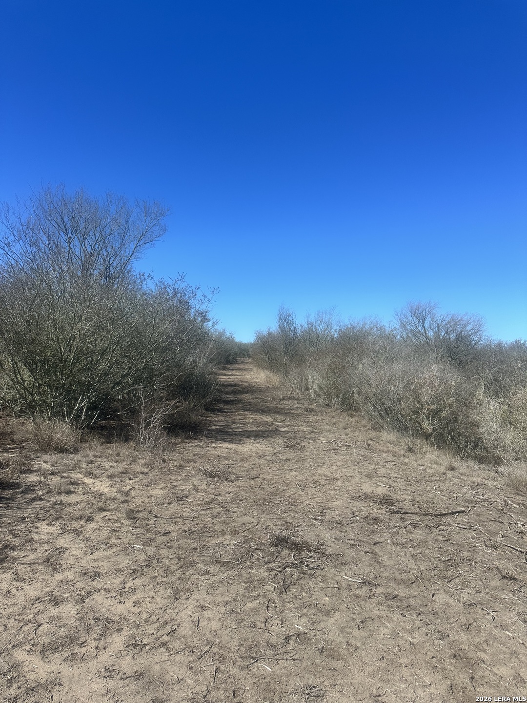 0 Raccoon Drive George West, TX 78022 - Photo 4 of 4 a view of a dry yard with trees