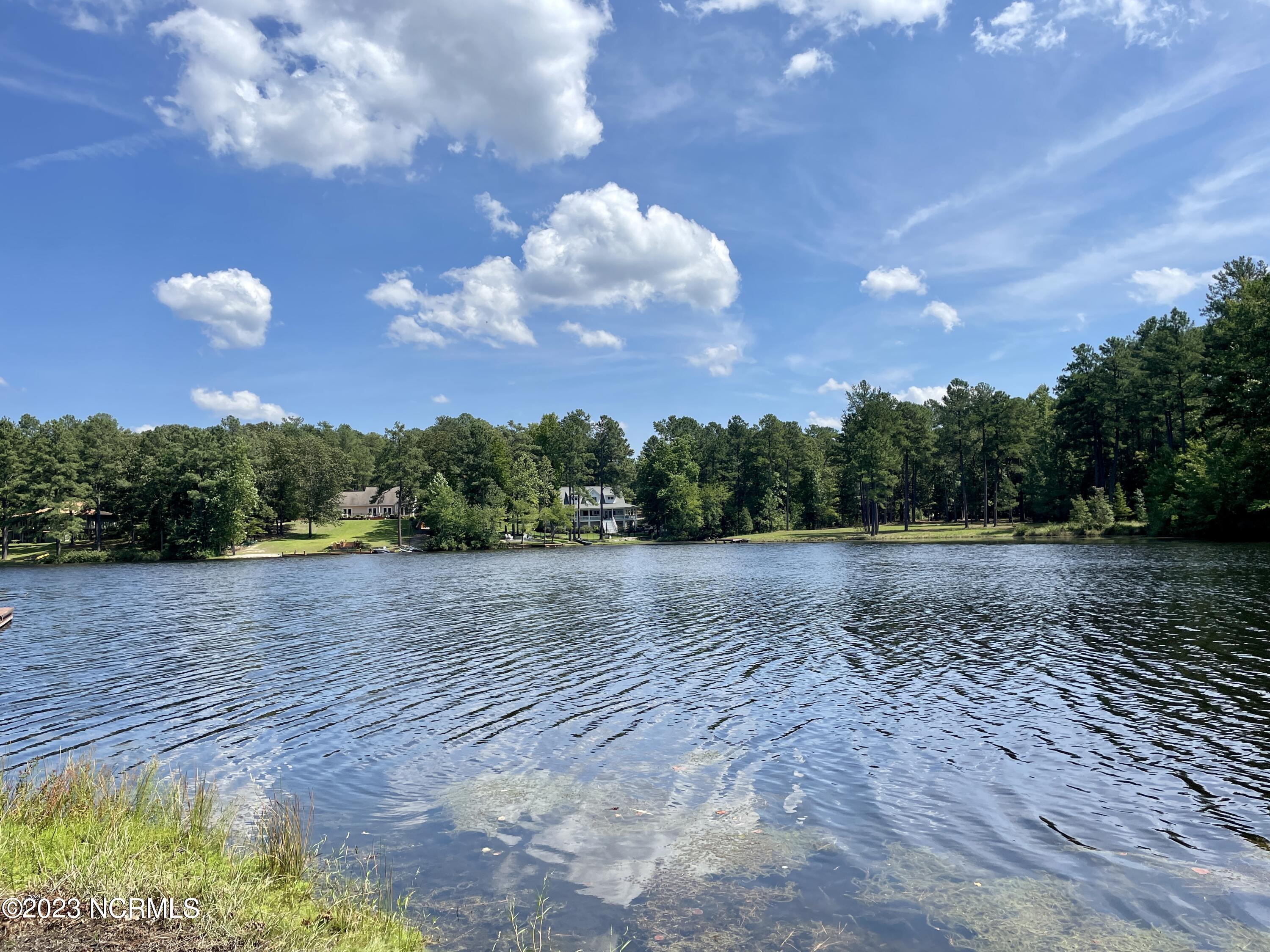 245 Lakeside Drive Aberdeen, NC 28315 - Photo 8 of 45 IMG_1019